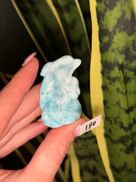 Larimar Dolphin - 180