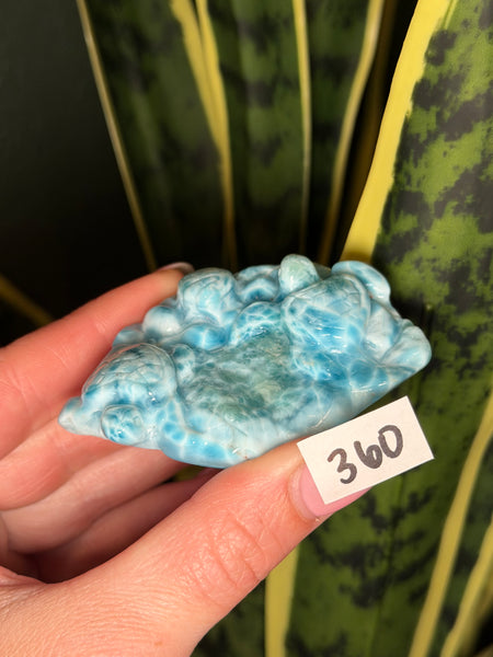 Larimar Turtle - 360