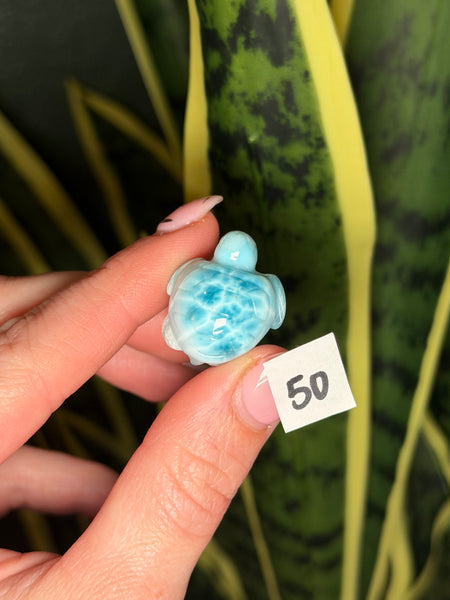 Larimar Turtle - 50
