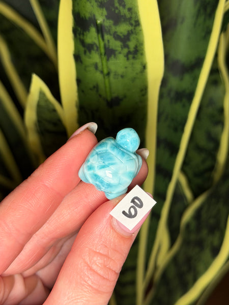 Larimar Turtle - 60