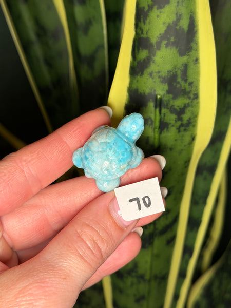 Larimar Turtle - 70