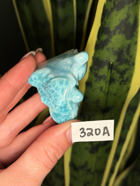 Larimar Turtle - 320A