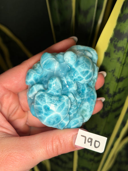 Larimar Turtle - 790
