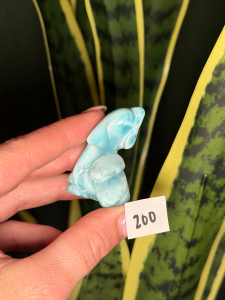 Larimar Dolphin - 200