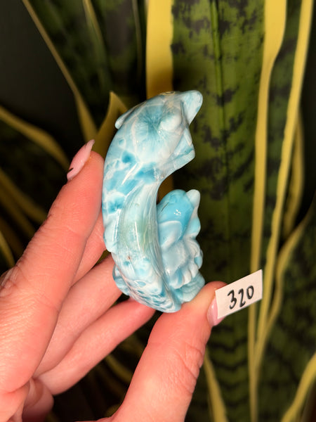 Larimar Dolphin -