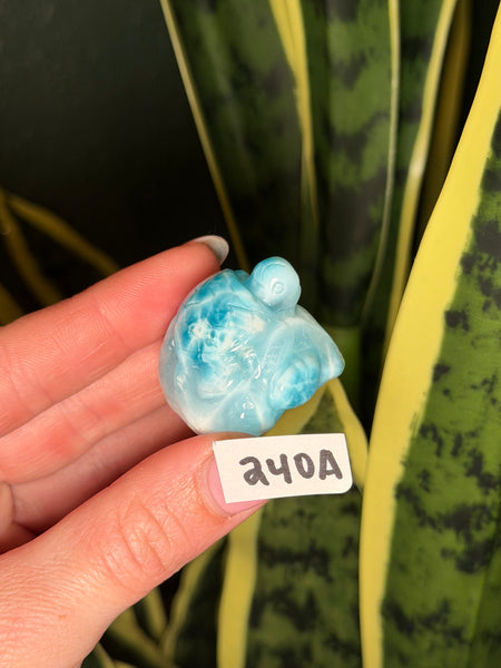 Larimar Turtle - 240A
