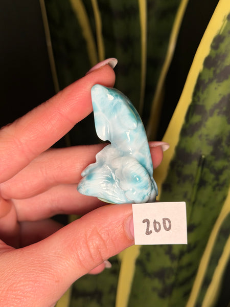Larimar Dolphin - 200