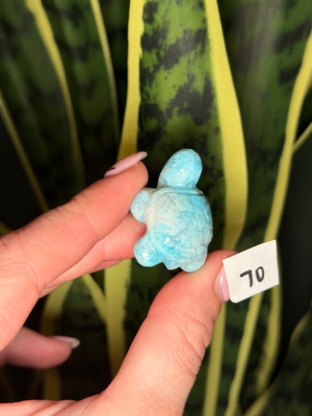 Larimar Turtle - 70