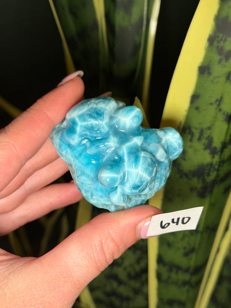Larimar Turtle - 640