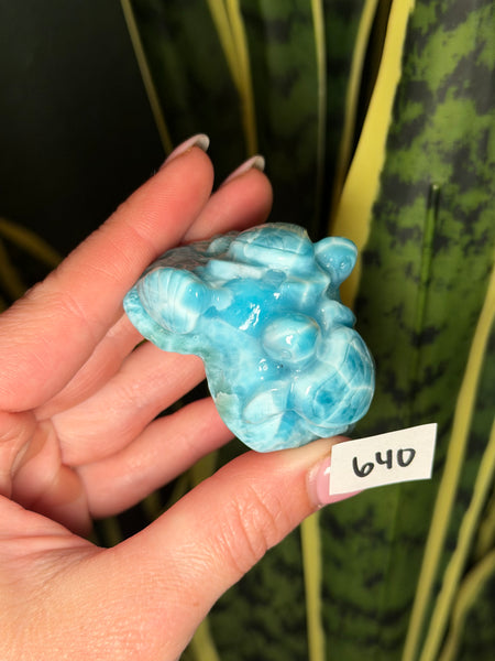 Larimar Turtle - 640