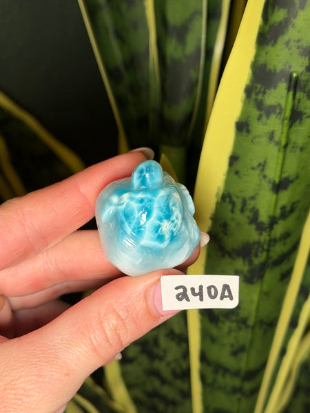 Larimar Turtle - 240A
