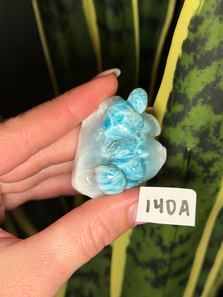 Larimar Turtle - 140A