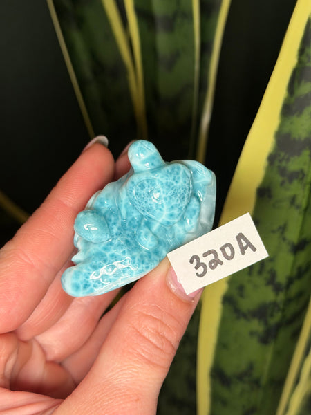 Larimar Turtle - 320A