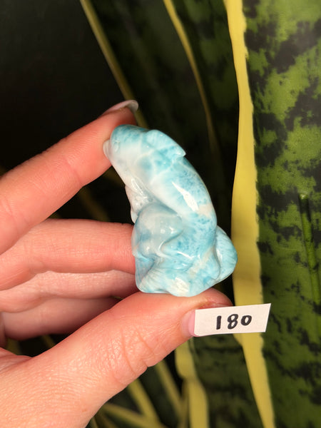 Larimar Dolphin - 180