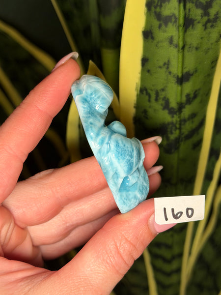 Larimar Turtle - 160