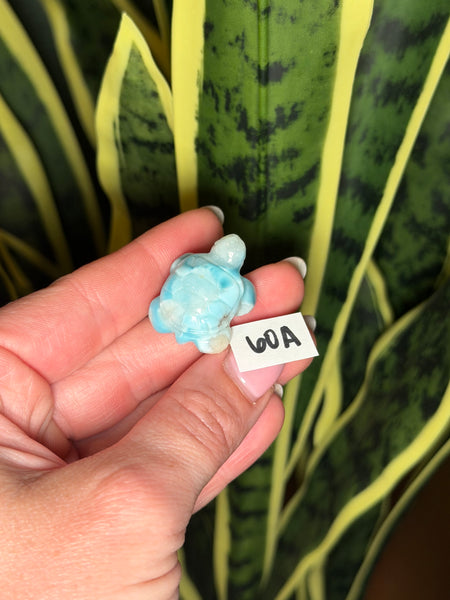 Larimar Turtle - 60A