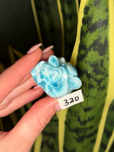 Larimar Turtle - 320
