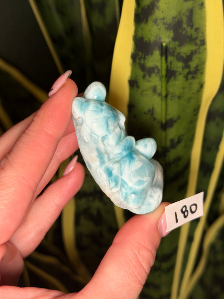 Larimar Turtle - 180