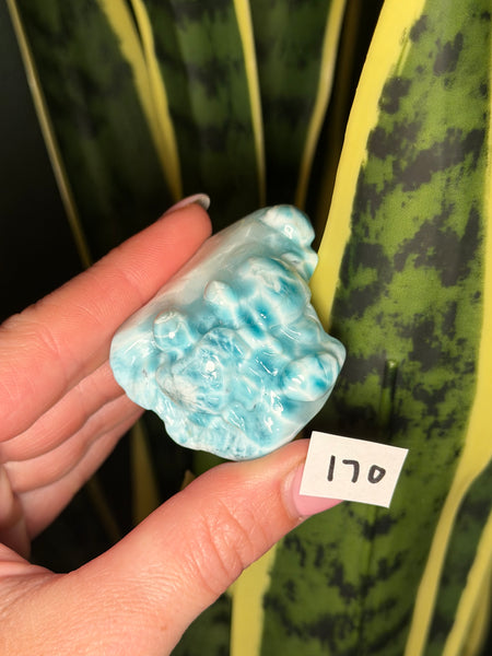 Larimar Turtle - 170