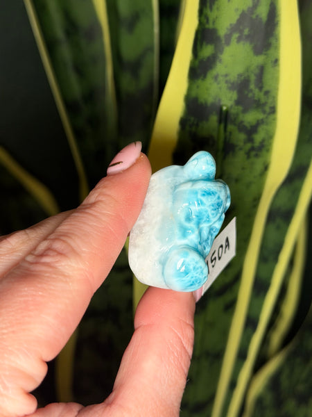 Larimar Turtle - 150A