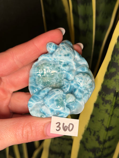 Larimar Turtle - 360