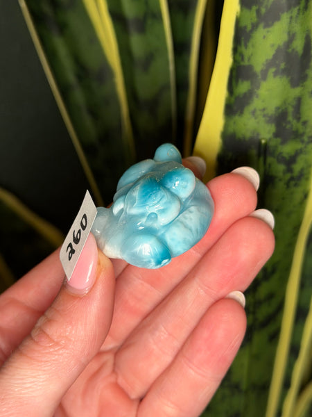 Larimar Turtle - 260