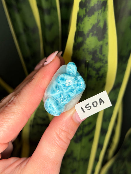 Larimar Turtle - 150A