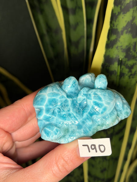 Larimar Turtle - 790