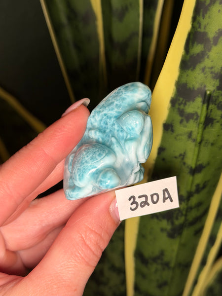 Larimar Turtle - 320A