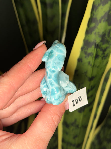 Larimar Dolphin - 200