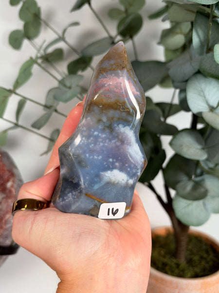 Sea Jasper Flames - you pick