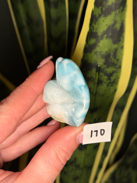 Larimar Dolphin - 170