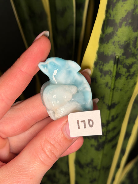 Larimar Dolphin - 170