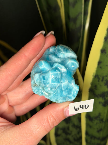 Larimar Turtle - 640
