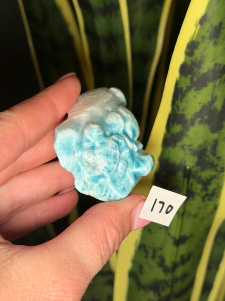 Larimar Turtle - 170