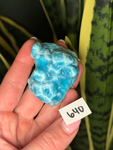 Larimar Turtle - 640