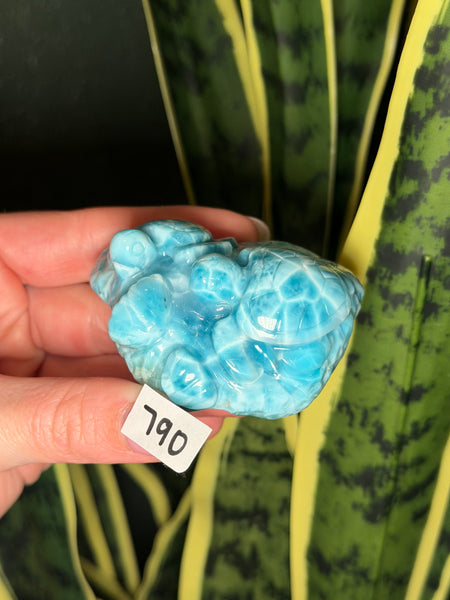 Larimar Turtle - 790
