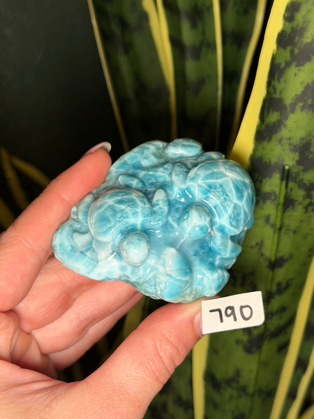 Larimar Turtle - 790
