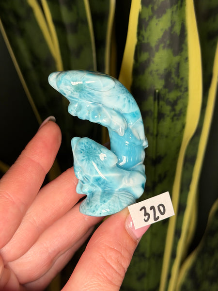 Larimar Dolphin -