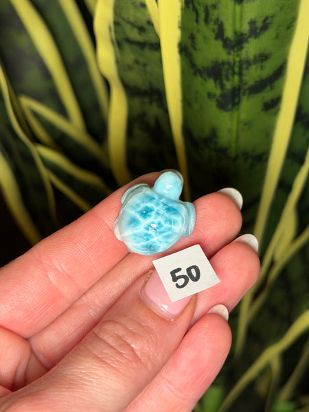 Larimar Turtle - 50