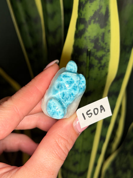 Larimar Turtle - 150A