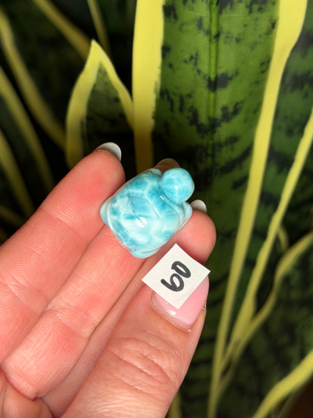 Larimar Turtle - 60