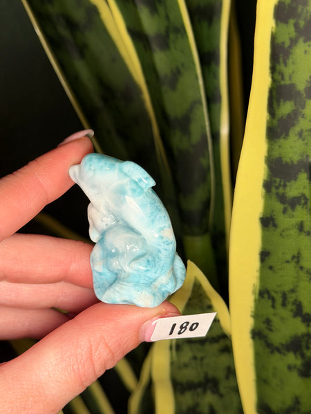 Larimar Dolphin - 180