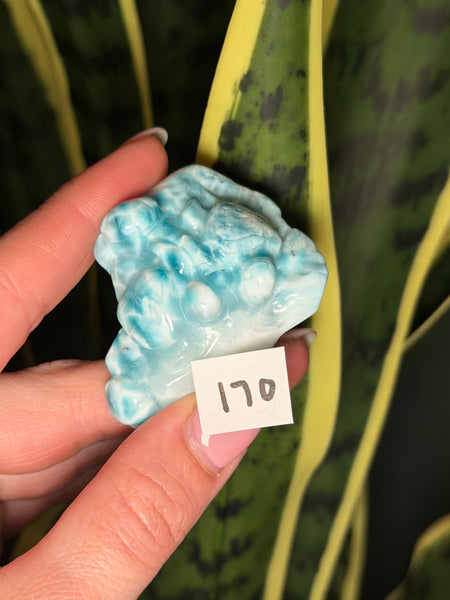 Larimar Turtle - 170