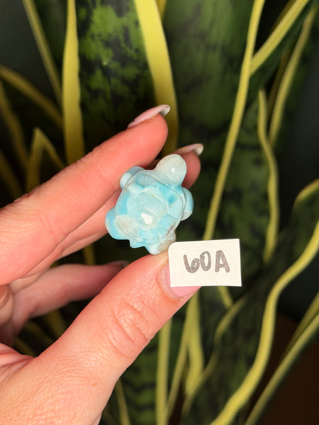 Larimar Turtle - 60A