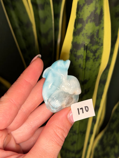 Larimar Dolphin - 170