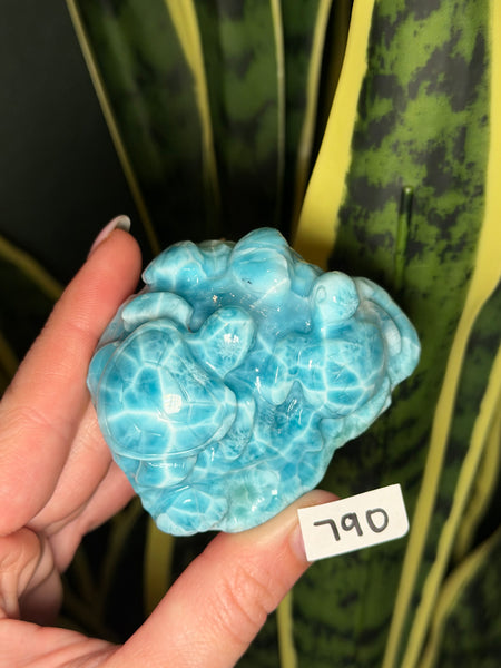 Larimar Turtle - 790
