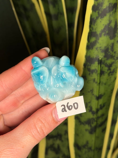 Larimar Turtle - 260