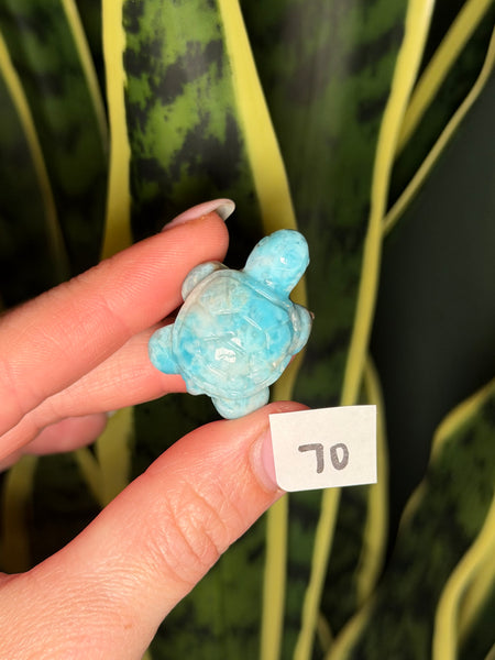 Larimar Turtle - 70