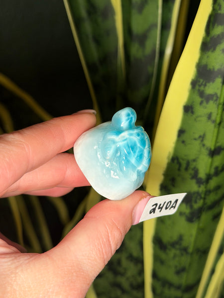 Larimar Turtle - 240A